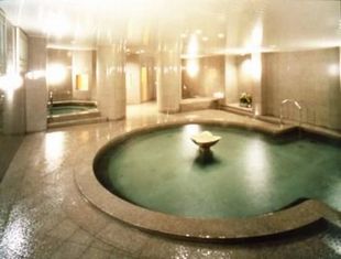 spa-large bath.jpg